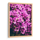 Bugambilias | Cuadro decorativo de Canvas Lab