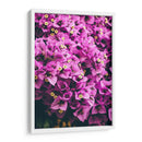 Bugambilias | Cuadro decorativo de Canvas Lab