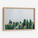 Cacti tips | Cuadro decorativo de Canvas Lab
