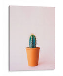Cactus en macetita | Cuadro decorativo de Canvas Lab