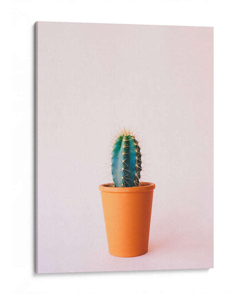 Cactus en macetita | Cuadro decorativo de Canvas Lab