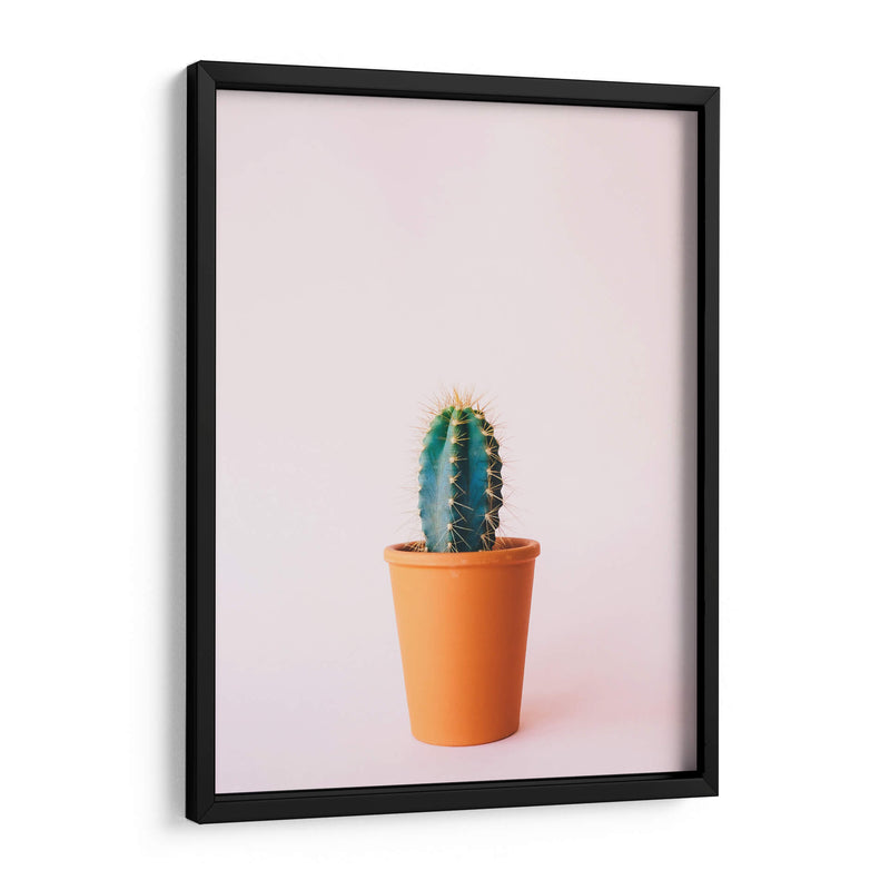 Cactus en macetita | Cuadro decorativo de Canvas Lab