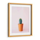 Cactus en macetita | Cuadro decorativo de Canvas Lab