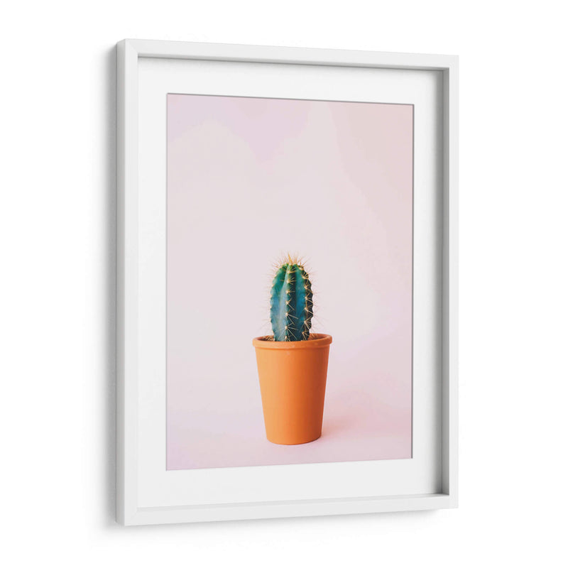Cactus en macetita | Cuadro decorativo de Canvas Lab