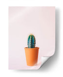 Cactus en macetita | Cuadro decorativo de Canvas Lab