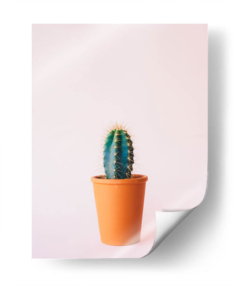 Cactus en macetita | Cuadro decorativo de Canvas Lab