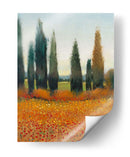 Cipreses Árboles I - Tim OToole | Cuadro decorativo de Canvas Lab