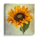 Florals Vintage Exuberante I - Honey Malek | Cuadro decorativo de Canvas Lab
