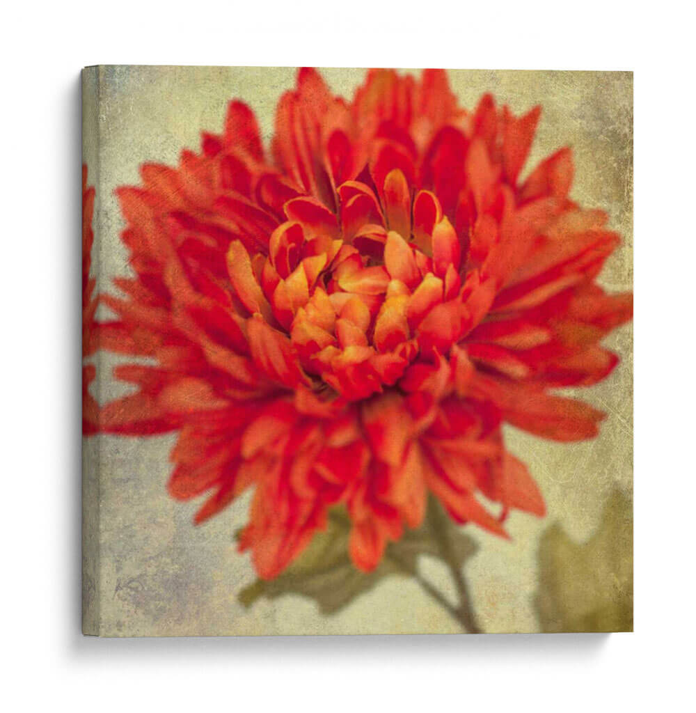 Exuberantes Florales Vintage Iii - Honey Malek | Cuadro decorativo de Canvas Lab