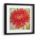 Exuberantes Florales Vintage Iii - Honey Malek | Cuadro decorativo de Canvas Lab