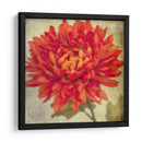 Exuberantes Florales Vintage Iii - Honey Malek | Cuadro decorativo de Canvas Lab