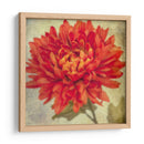 Exuberantes Florales Vintage Iii - Honey Malek | Cuadro decorativo de Canvas Lab