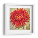 Exuberantes Florales Vintage Iii - Honey Malek | Cuadro decorativo de Canvas Lab