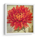 Exuberantes Florales Vintage Iii - Honey Malek | Cuadro decorativo de Canvas Lab