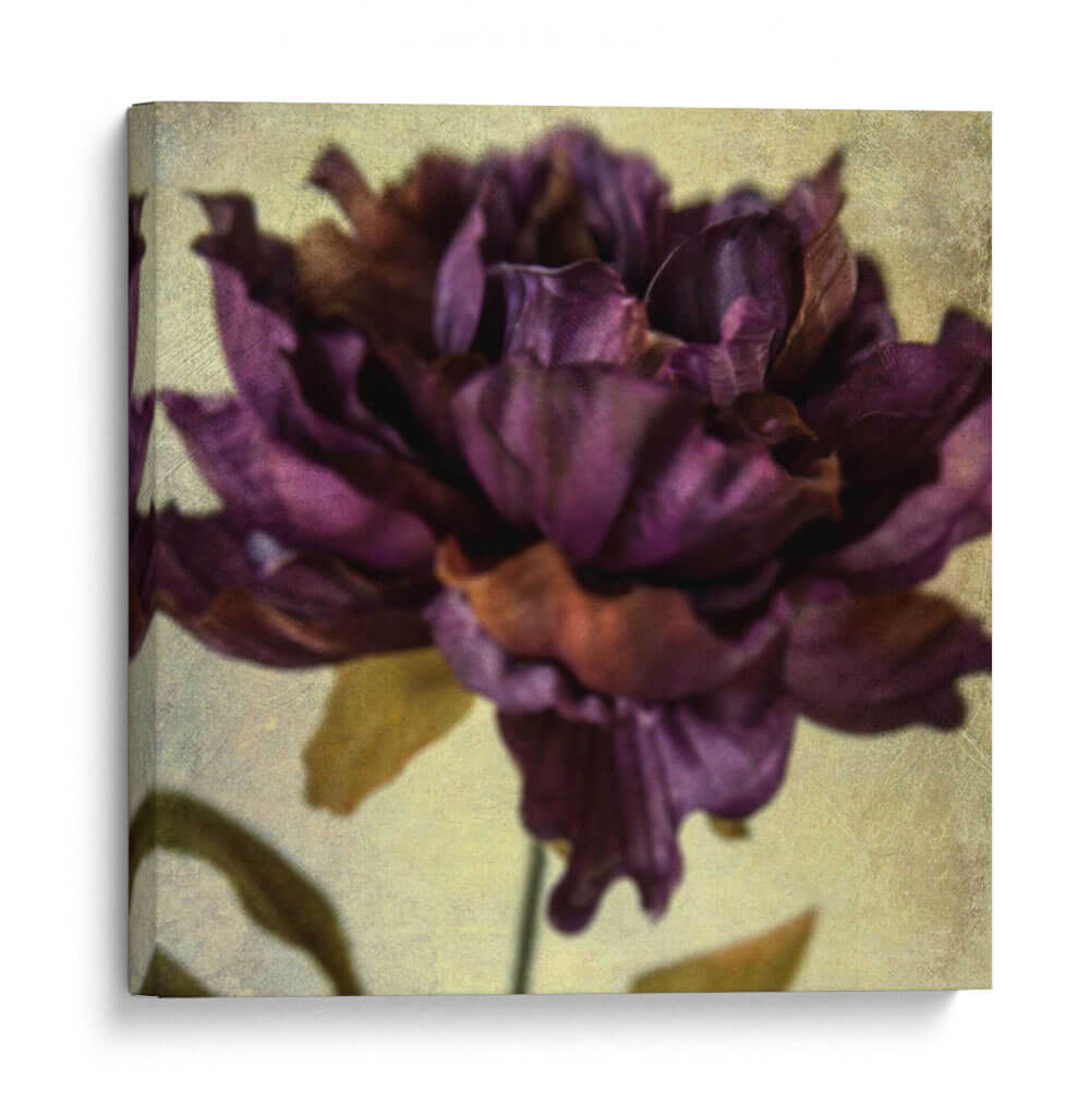 Exuberantes Florales Vintage Iv - Honey Malek | Cuadro decorativo de Canvas Lab
