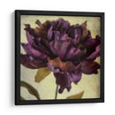 Exuberantes Florales Vintage Iv - Honey Malek | Cuadro decorativo de Canvas Lab