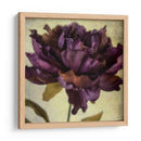 Exuberantes Florales Vintage Iv - Honey Malek | Cuadro decorativo de Canvas Lab