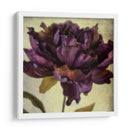 Exuberantes Florales Vintage Iv - Honey Malek | Cuadro decorativo de Canvas Lab