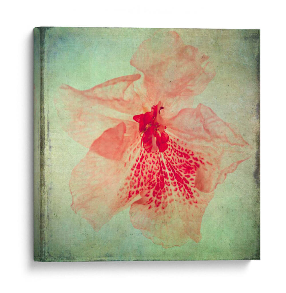 Exuberantes Florales Vintage Vi - Honey Malek | Cuadro decorativo de Canvas Lab