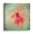 Exuberantes Florales Vintage Vi - Honey Malek | Cuadro decorativo de Canvas Lab