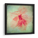 Exuberantes Florales Vintage Vi - Honey Malek | Cuadro decorativo de Canvas Lab