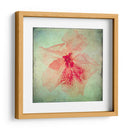 Exuberantes Florales Vintage Vi - Honey Malek | Cuadro decorativo de Canvas Lab