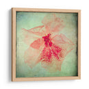 Exuberantes Florales Vintage Vi - Honey Malek | Cuadro decorativo de Canvas Lab
