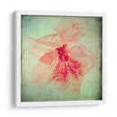 Exuberantes Florales Vintage Vi - Honey Malek | Cuadro decorativo de Canvas Lab