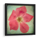 Exuberantes Florales Vintage Vii - Honey Malek | Cuadro decorativo de Canvas Lab
