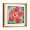 Exuberantes Florales Vintage Vii - Honey Malek | Cuadro decorativo de Canvas Lab
