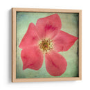 Exuberantes Florales Vintage Vii - Honey Malek | Cuadro decorativo de Canvas Lab