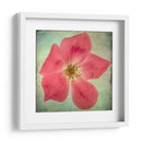 Exuberantes Florales Vintage Vii - Honey Malek | Cuadro decorativo de Canvas Lab