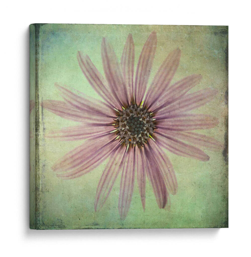 Exuberantes Florales Vintage Viii - Honey Malek | Cuadro decorativo de Canvas Lab
