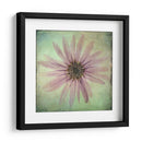 Exuberantes Florales Vintage Viii - Honey Malek | Cuadro decorativo de Canvas Lab