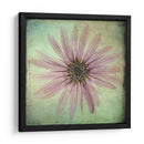 Exuberantes Florales Vintage Viii - Honey Malek | Cuadro decorativo de Canvas Lab