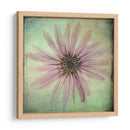 Exuberantes Florales Vintage Viii - Honey Malek | Cuadro decorativo de Canvas Lab