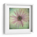 Exuberantes Florales Vintage Viii - Honey Malek | Cuadro decorativo de Canvas Lab