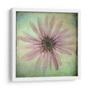 Exuberantes Florales Vintage Viii - Honey Malek | Cuadro decorativo de Canvas Lab