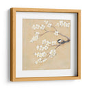 Pájaros Dulces I - Jade Reynolds | Cuadro decorativo de Canvas Lab