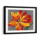 Retrato De Tulipán I - Tim OToole | Cuadro decorativo de Canvas Lab