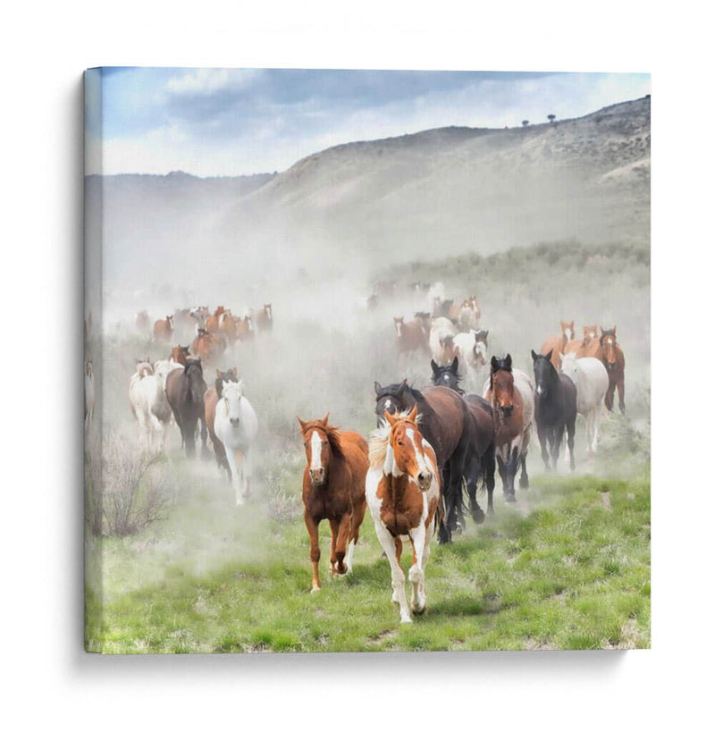 Stampede Ii - PH Burchett | Cuadro decorativo de Canvas Lab