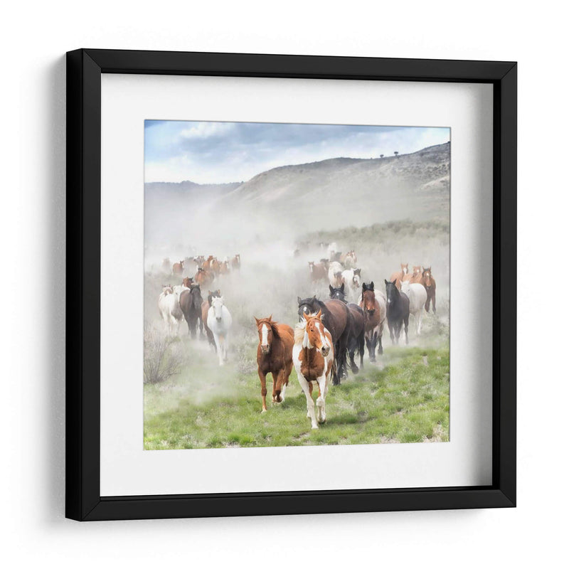 Stampede Ii - PH Burchett | Cuadro decorativo de Canvas Lab