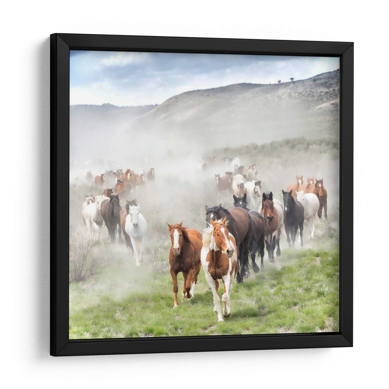 Stampede Ii - PH Burchett | Cuadro decorativo de Canvas Lab