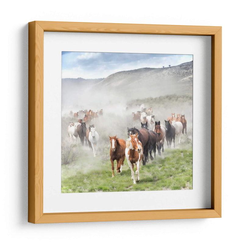 Stampede Ii - PH Burchett | Cuadro decorativo de Canvas Lab