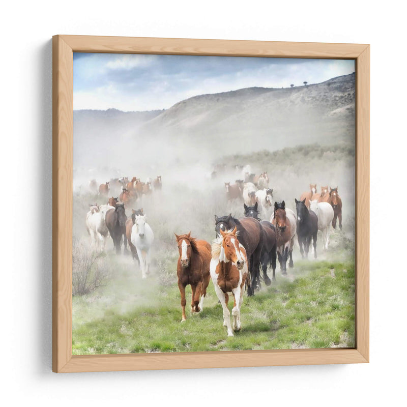 Stampede Ii - PH Burchett | Cuadro decorativo de Canvas Lab