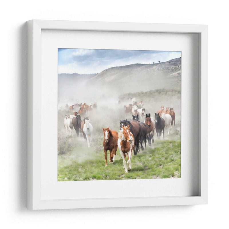 Stampede Ii - PH Burchett | Cuadro decorativo de Canvas Lab