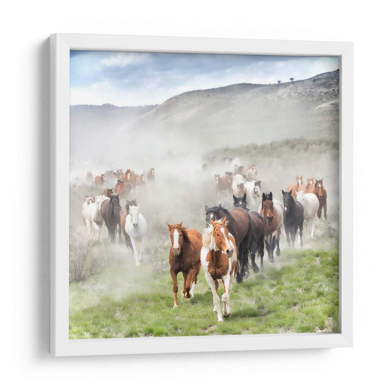 Stampede Ii - PH Burchett | Cuadro decorativo de Canvas Lab