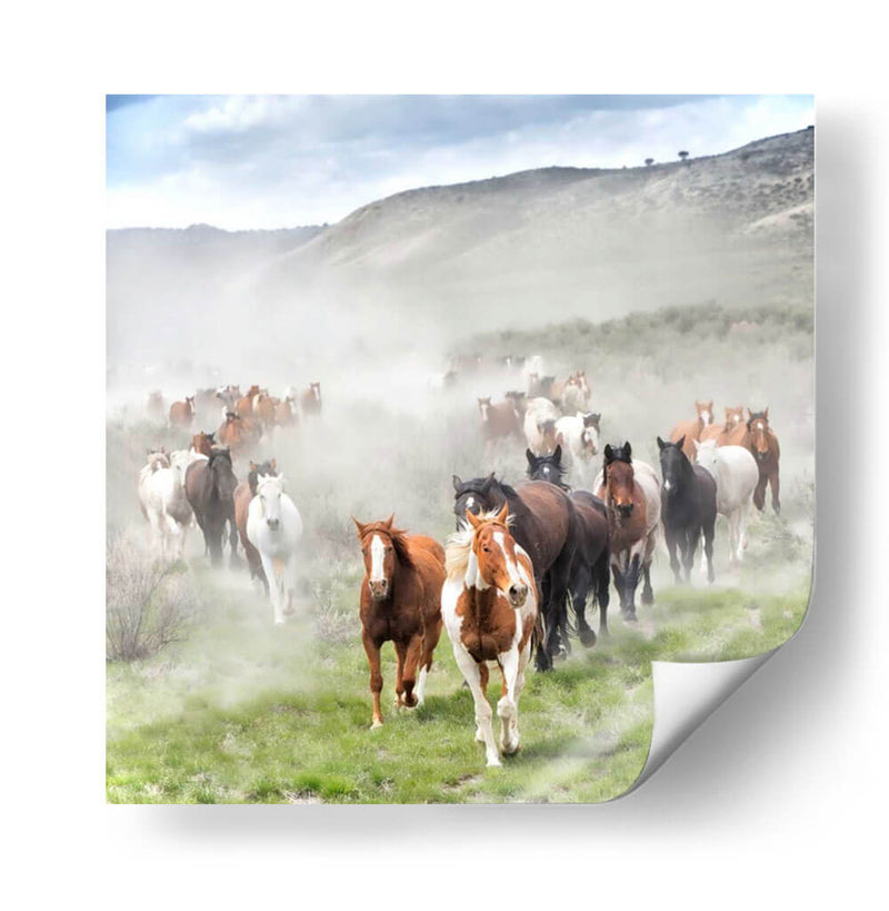 Stampede Ii - PH Burchett | Cuadro decorativo de Canvas Lab