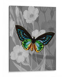 En La Pantalla I - James Burghardt | Cuadro decorativo de Canvas Lab