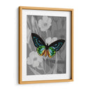 En La Pantalla I - James Burghardt | Cuadro decorativo de Canvas Lab